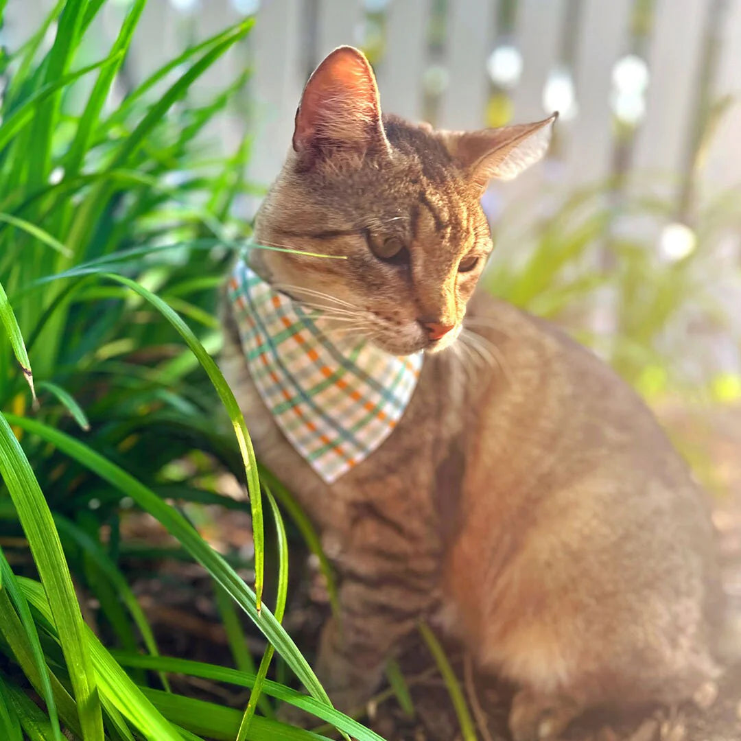 Mint Plaid Bandana for Cat + Small Dog