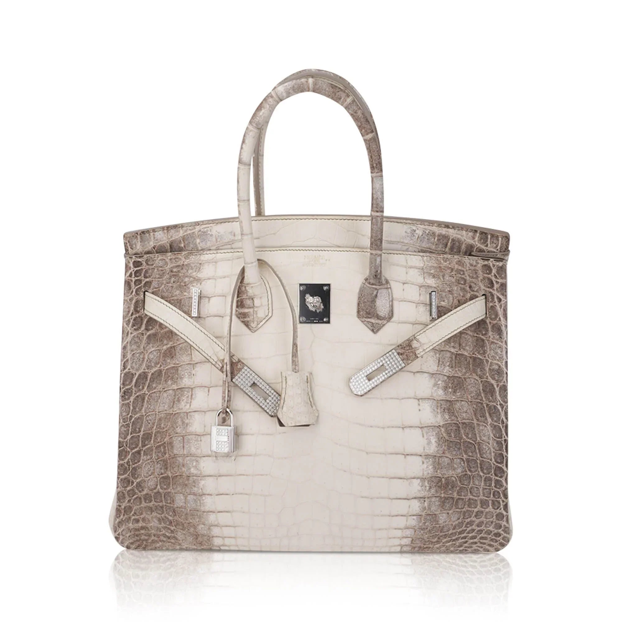 Birkin 35 Diamond Blanc Himalaya Matte Crocodile Limited Edition Bag