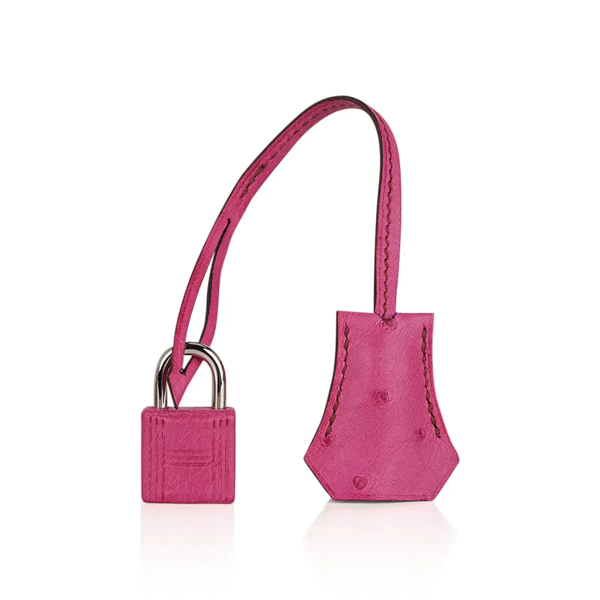 Birkin 25 Bag Fuchsia Ostrich with Palladium Hardware